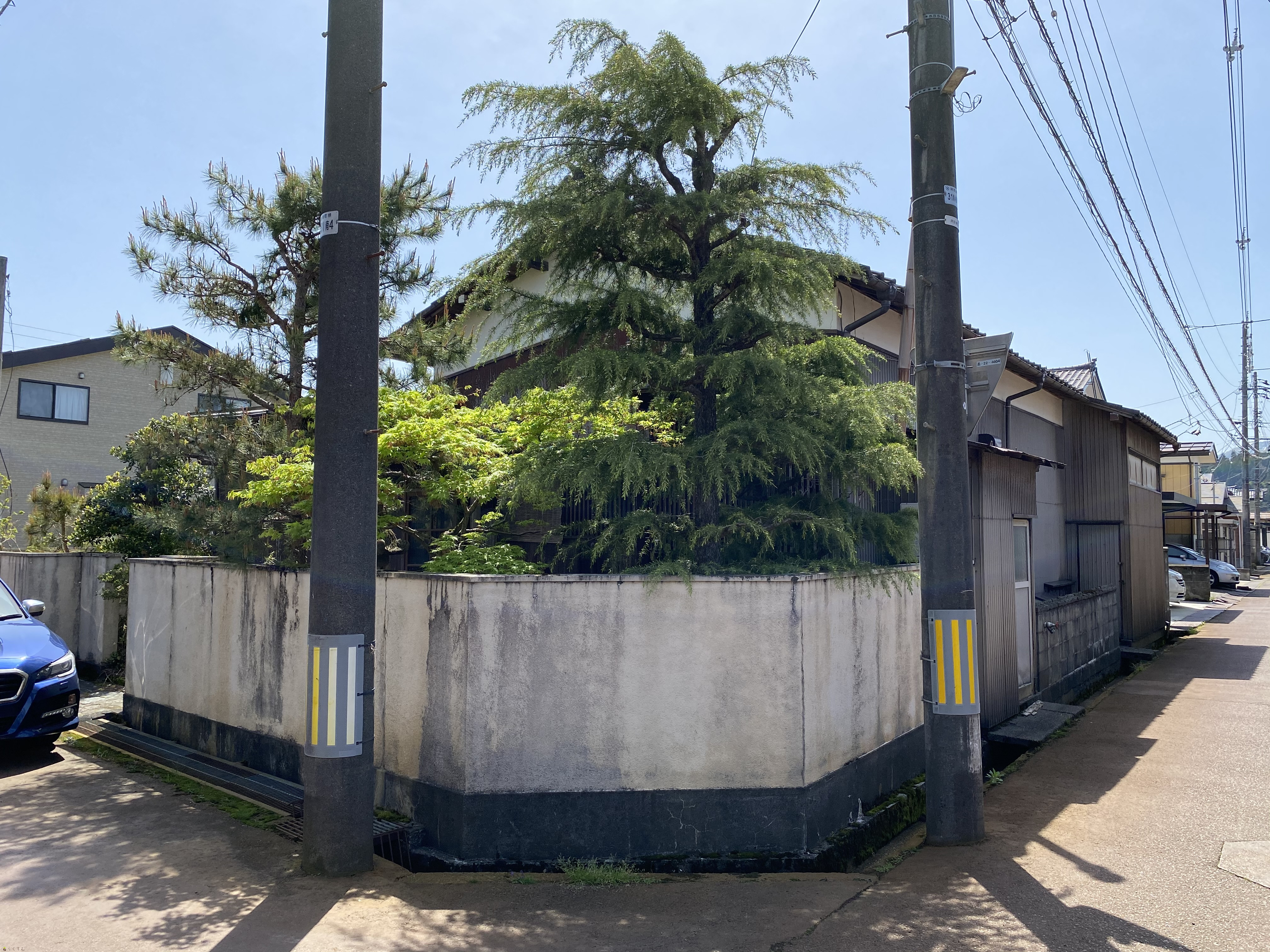 detached 長倉南町